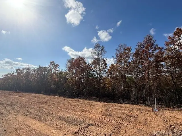 14 Summer Tyme Drive, Greenbrier, AR 72058 - #3