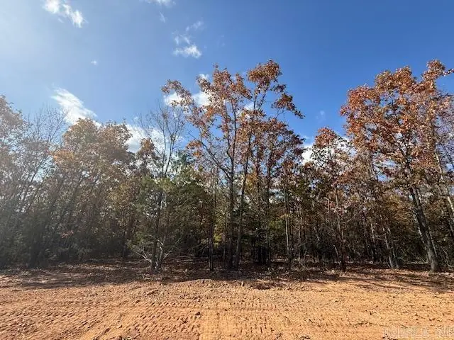 16 Summer Tyme Drive, Greenbrier, AR 72058 - #2