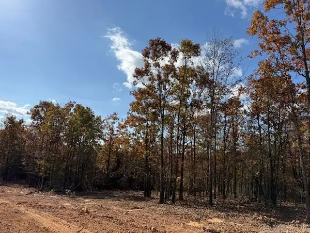 18 Summer Tyme Drive, Greenbrier, AR 72058 - #3