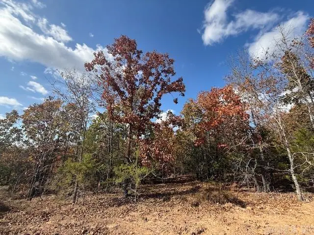 22 Summer Tyme Drive, Greenbrier, AR 72058 - #3