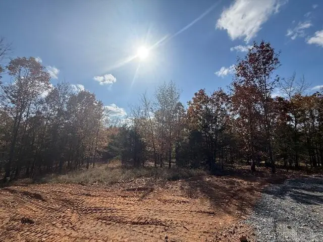 24 Summer Tyme Drive, Greenbrier, AR 72058 - #3