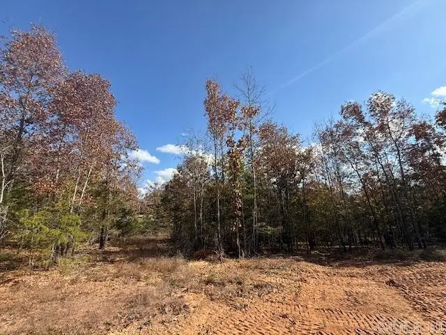 27 Summer Tyme Drive, Greenbrier, AR 72058 - #2