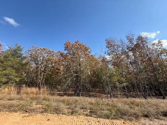 25 Summer Tyme Drive, Greenbrier, AR 72058 - #2