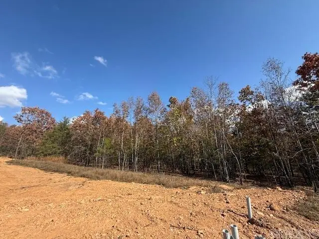 25 Summer Tyme Drive, Greenbrier, AR 72058 - #3