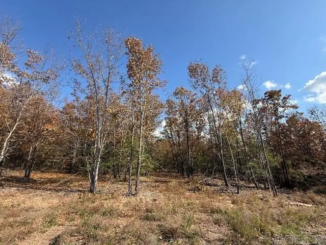 23 Summer Tyme Drive, Greenbrier, AR 72058 - #2