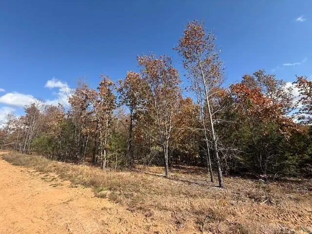 15 Summer Tyme Drive, Greenbrier, AR 72058 - #2