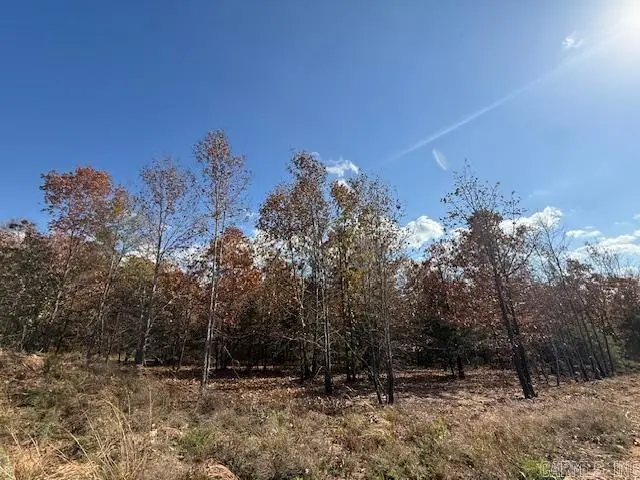 13 Summer Tyme Drive, Greenbrier, AR 72058 - #2