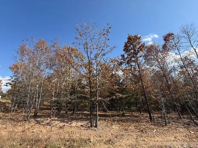 13 Summer Tyme Drive, Greenbrier, AR 72058 - #3