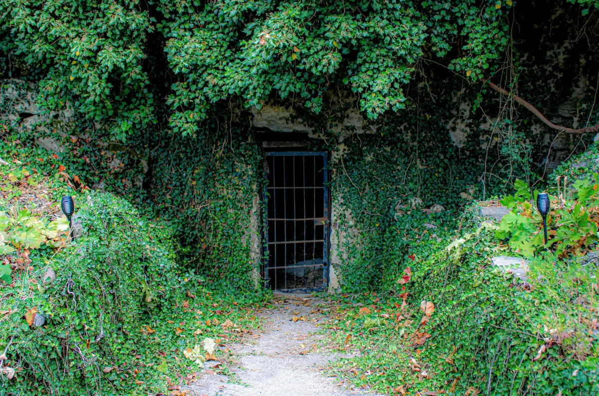 1770 Mc 5026, Valley Springs, AR 72682 - #1