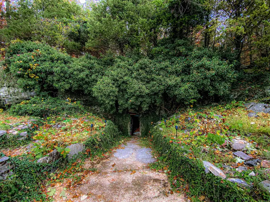 1770 Mc 5026, Valley Springs, AR 72682 - #3