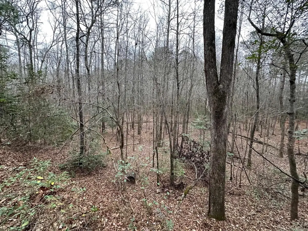TBD N Sardis Road, Mabelvale, AR 72103 - Image #1