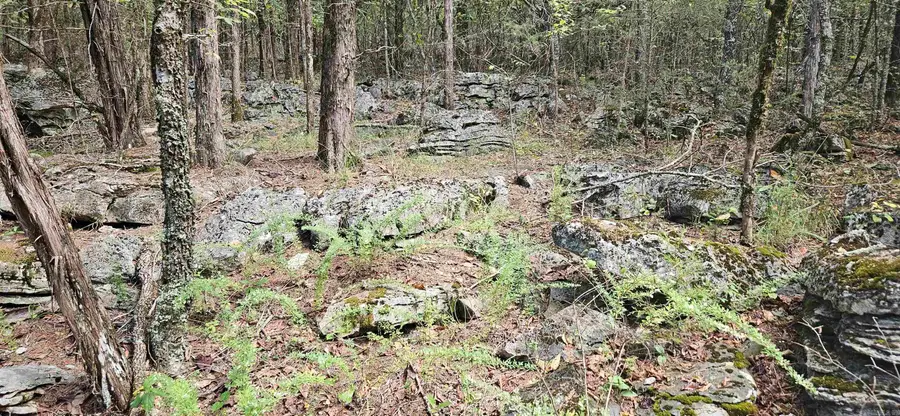 001-07553-000 Cr 638, Mountain Home, AR 72653 - #3