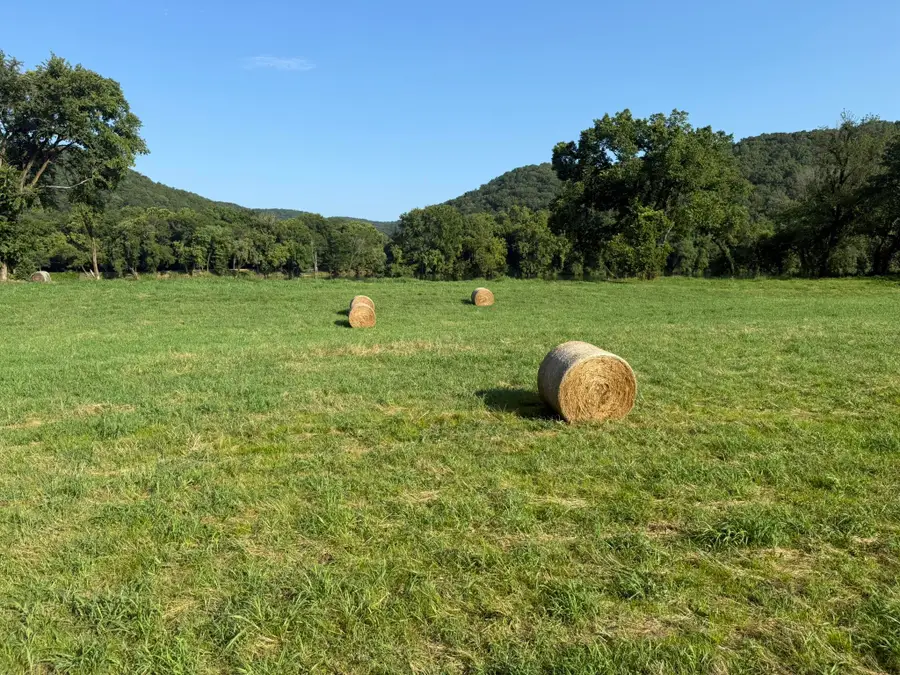 000 Schoolhouse Road, Melbourne, AR 72556 - Image #3