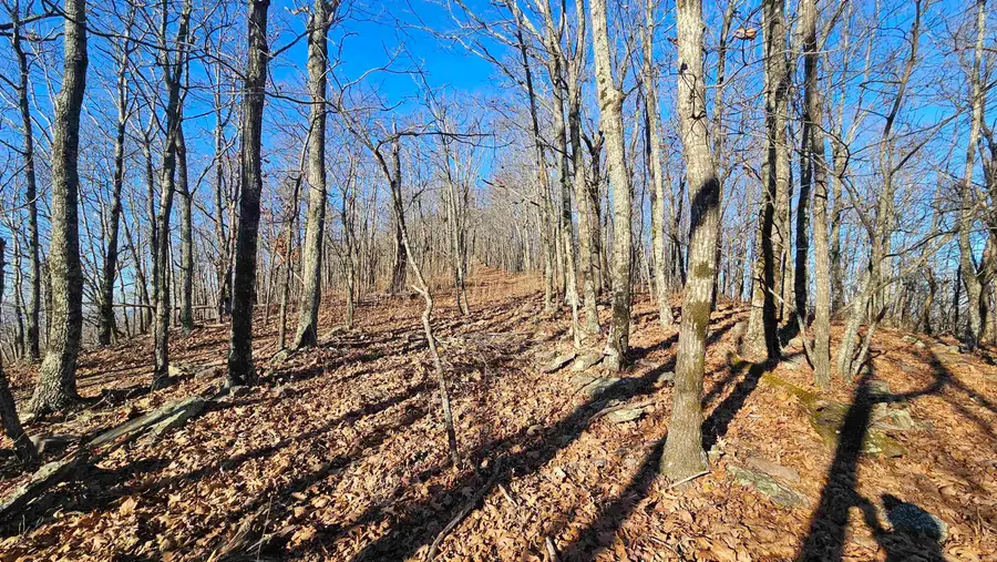 Address Withheld By Seller, Mount Judea, AR 72655 - Image #2