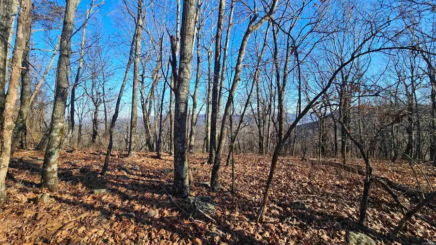 Address Withheld By Seller, Mount Judea, AR 72655 - Image #3