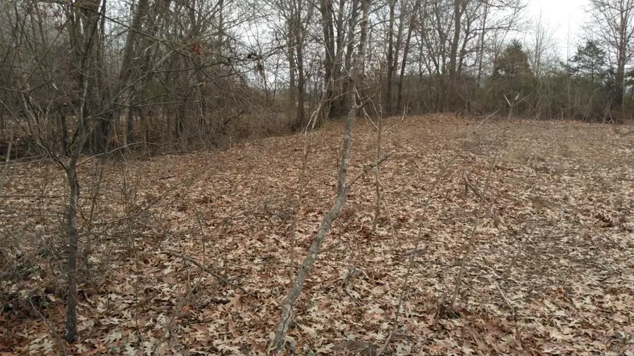 000 Old Russell Rd, Bald Knob, AR 72010 - Image #3