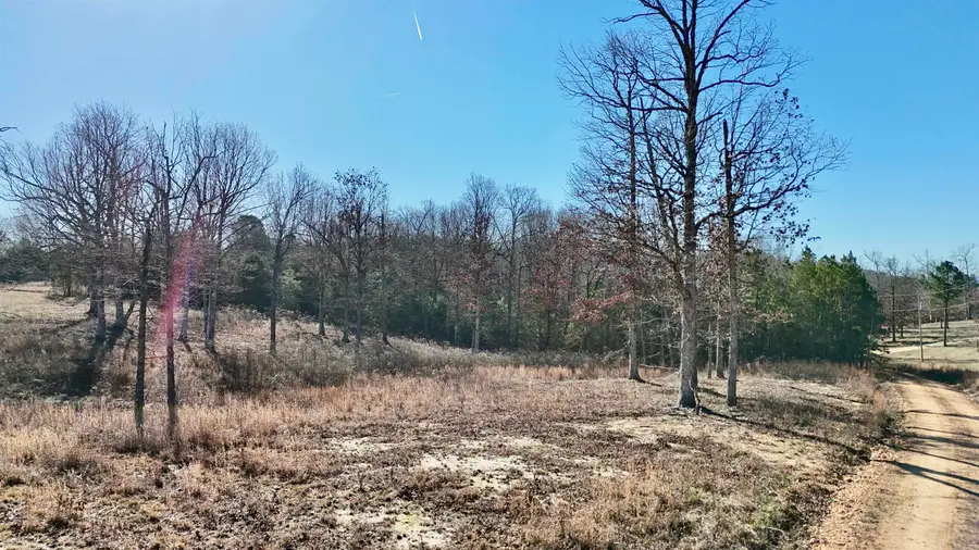 Peace Valley Rd, Melbourne, AR 72556 - Image #2