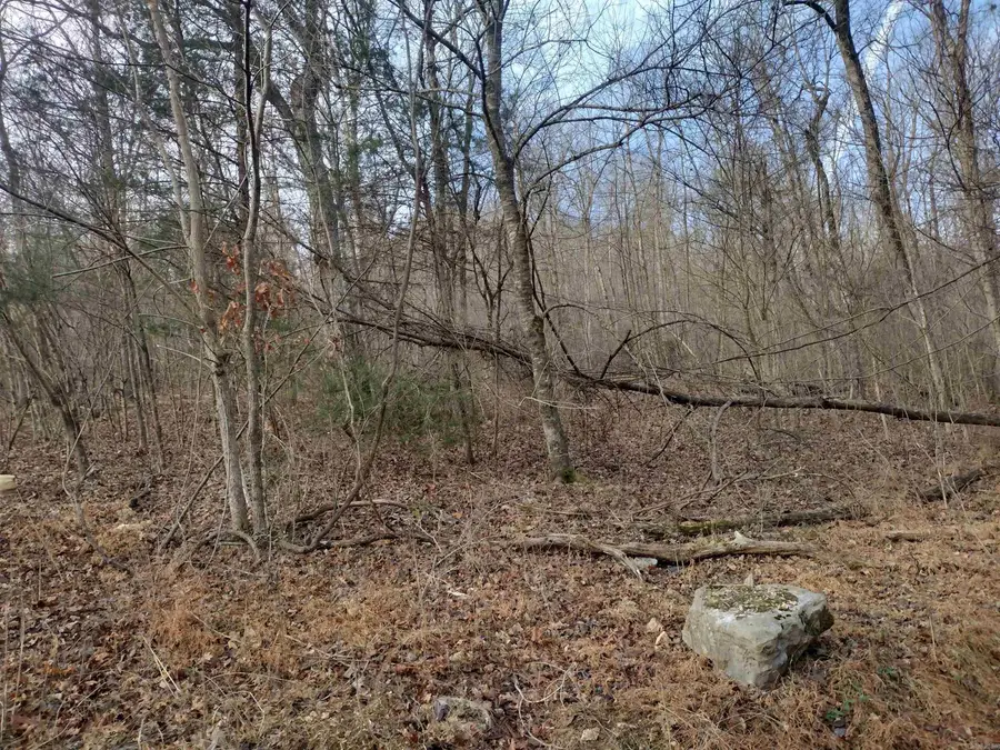 0 Geier Rd, Mountain View, AR 72560 - Image #2