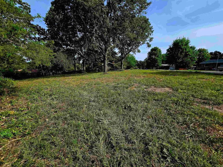 Lot 35 Debra Ann Drive, Mountain Home, AR 72653 - Image #2