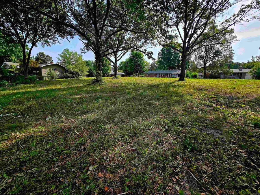 Lot 35 Debra Ann Drive, Mountain Home, AR 72653 - Image #3