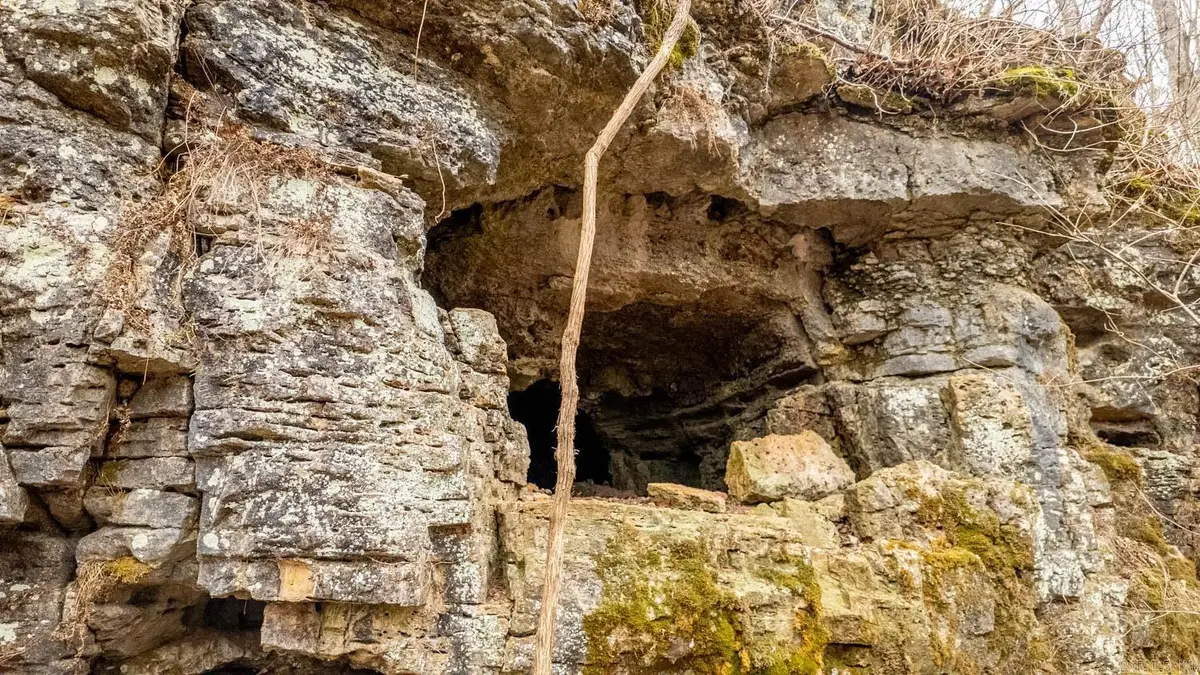 000 County Road 19-a, Alton, MO 65606 - Image #1