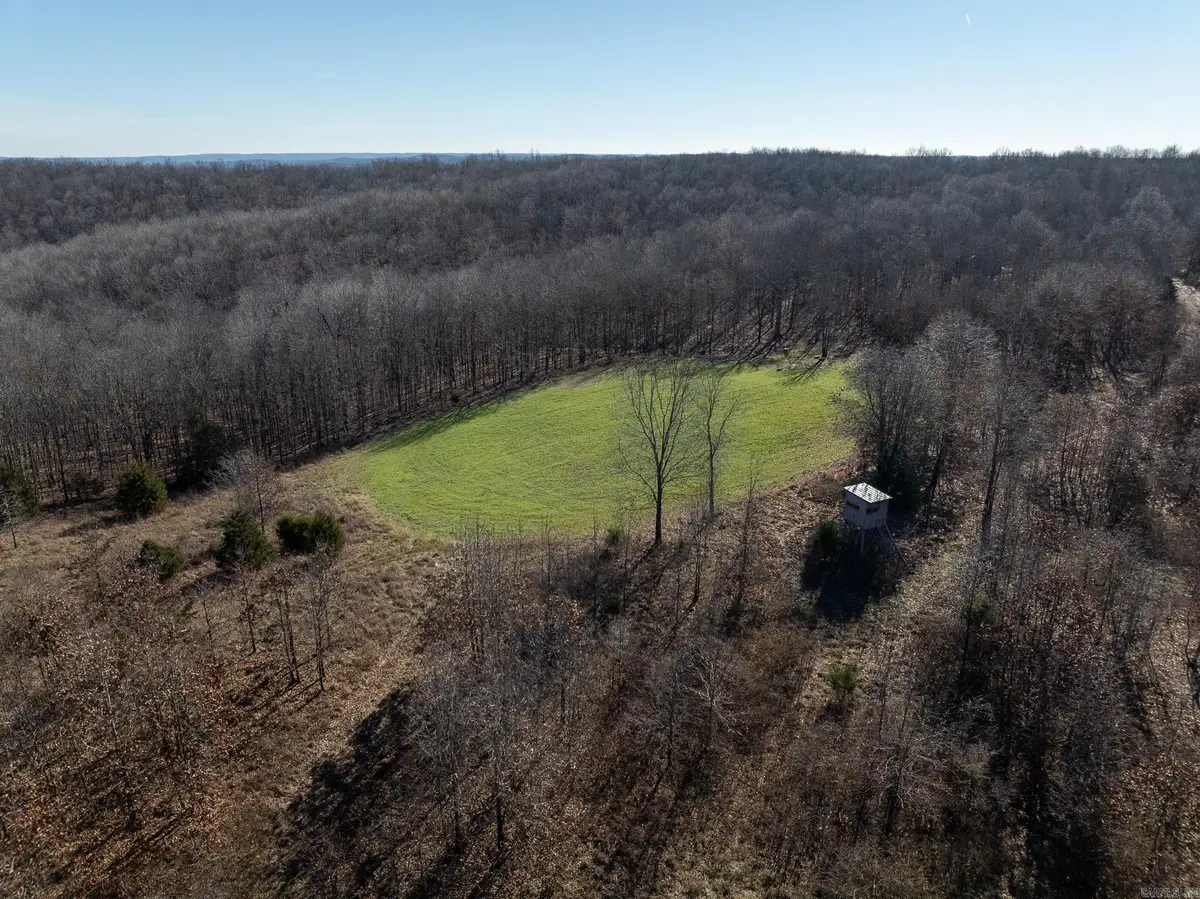 2719 Nubbin Ridge Road, Ravenden Springs, AR 72460 - Image #1