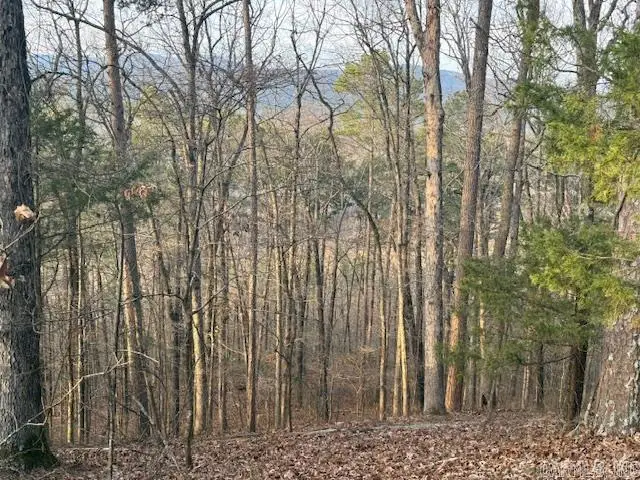 164 Off Hwy, Lamar, AR 72846 - Image #2