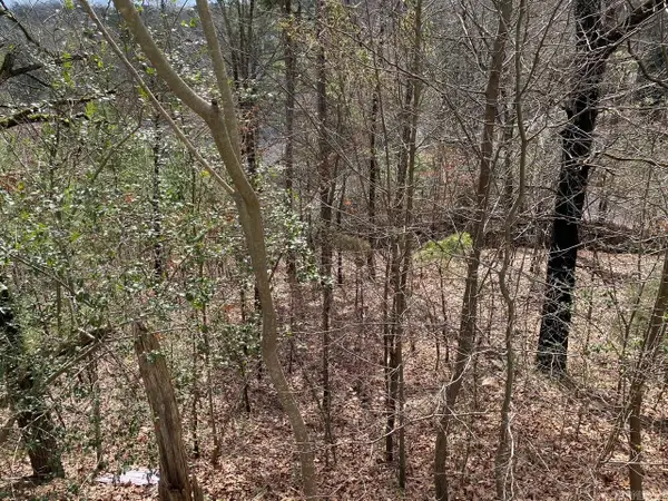 00 Wildwood Drive, Ash Flat, AR 72513