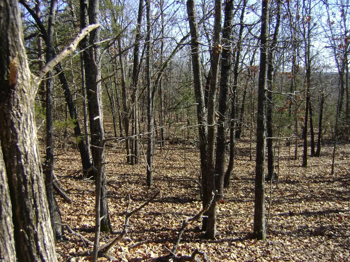 XXX Venture Lane, Ash Flat, AR 72513 - #1