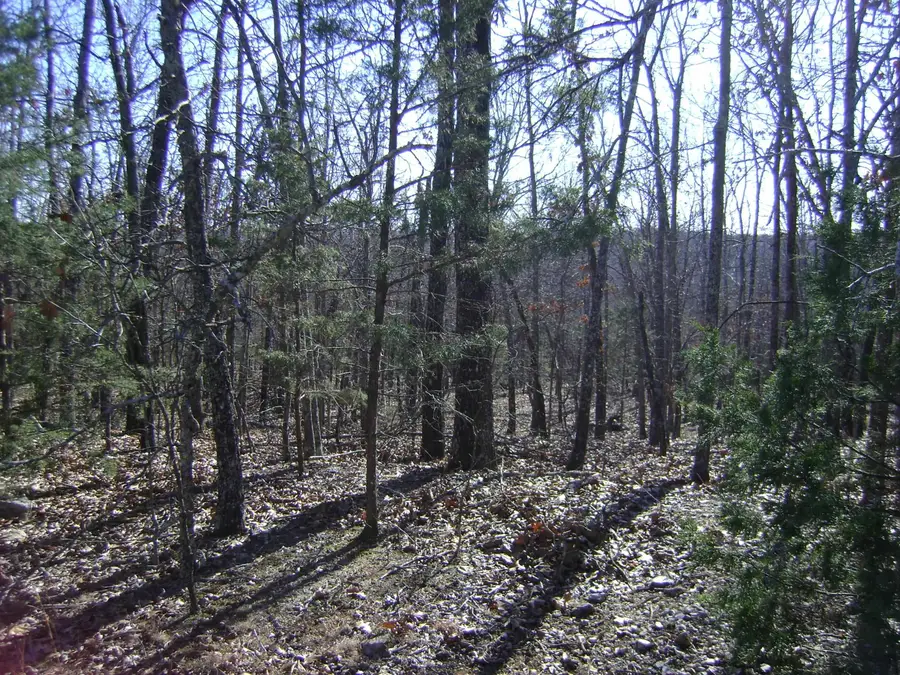 XXX Venture Lane, Ash Flat, AR 72513 - #2