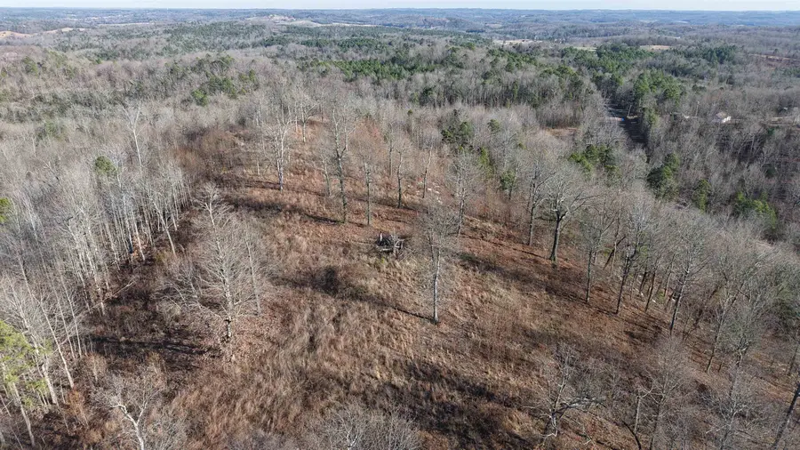 S Ar 9 Highway, Melbourne, AR 72556 - Image #3