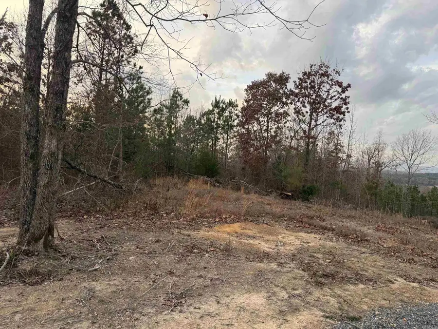 TBD Easement Road Polk 414, Mena, AR 71953 - Image #2