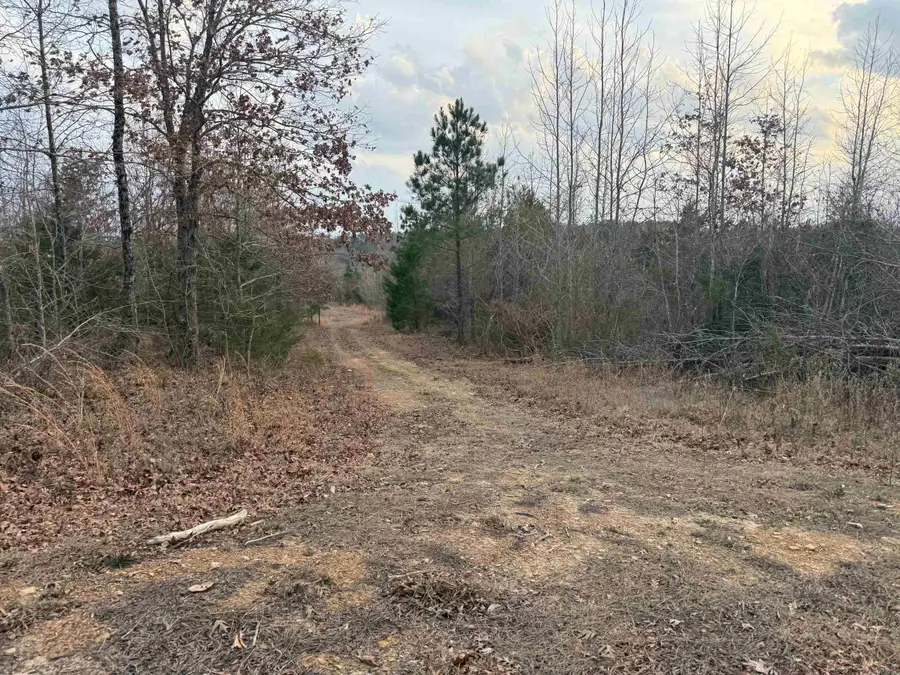 TBD Easement Road Polk 414, Mena, AR 71953 - Image #3