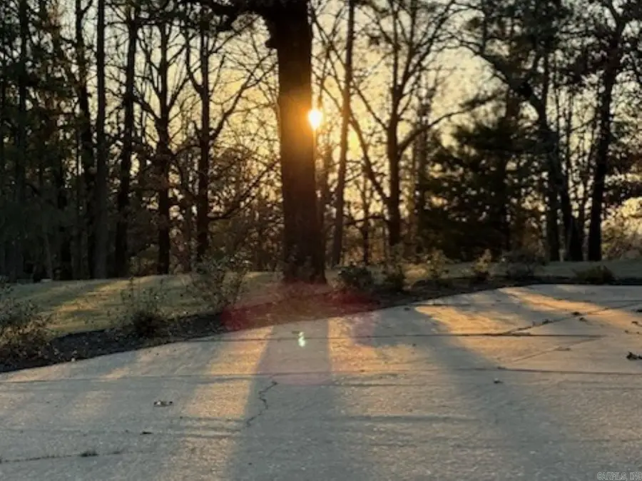 15203 Springer Road, Maumelle, AR 72113 - #3