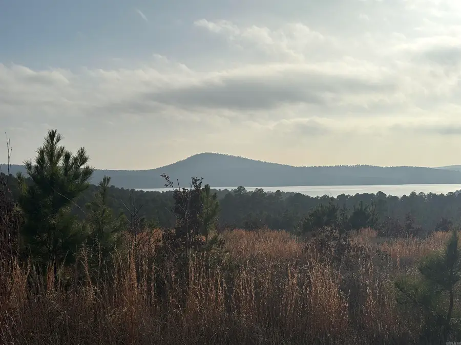 Lot 75 Waterview Drive, Roland, AR 72135 - #3