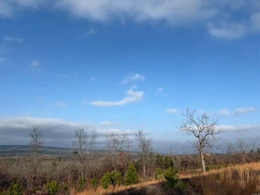 Lot 34 Waterview Drive, Roland, AR 72135 - #3