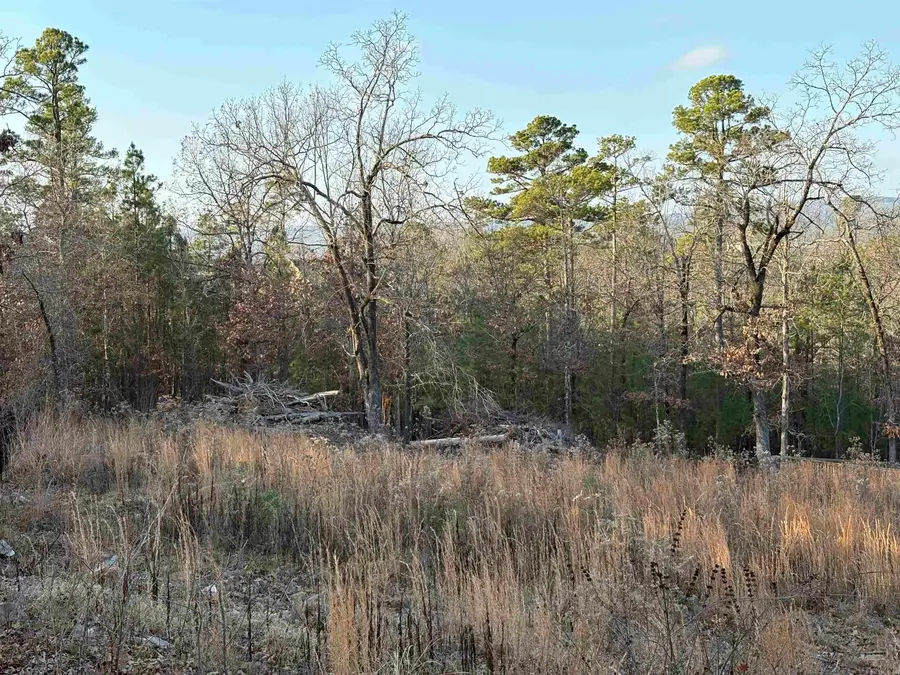 Lot 33 Waterview Drive, Roland, AR 72135 - #3