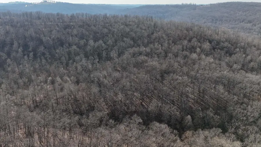 Address Withheld By Seller, Compton, AR 72624 - Image #3