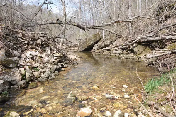 001-00404-003 Tator Knob Lane, Yellville, AR 72687