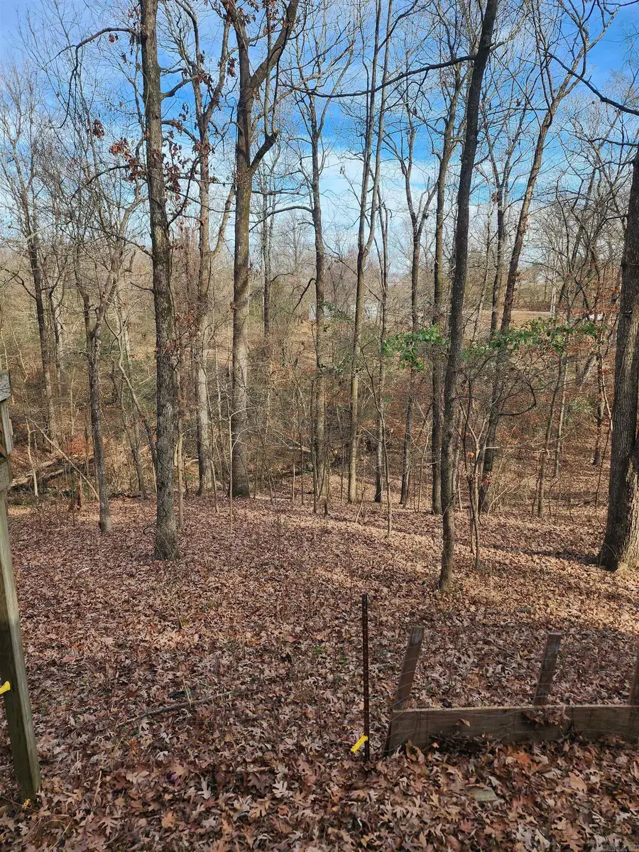 3152 Polk Road 293, Mena, AR 71953 - Image #2