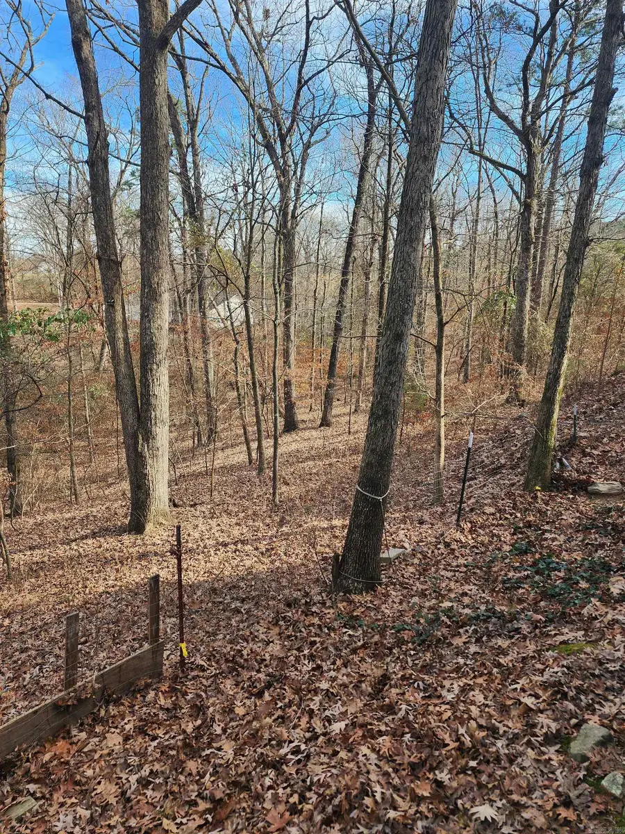 3152 Polk Road 293, Mena, AR 71953 - Image #3