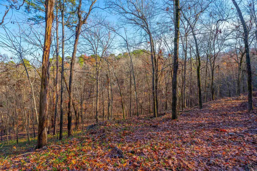 10 Greathouse Bend, Little Rock, AR 72207 - Image #3