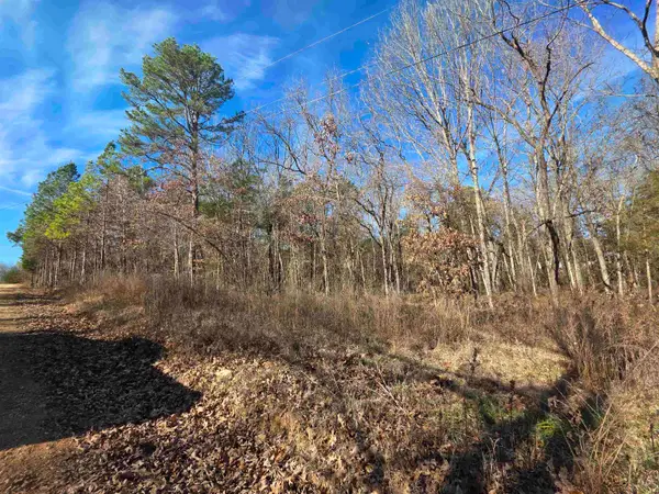 49 Meadow Brook Lane, Sage, AR 72556