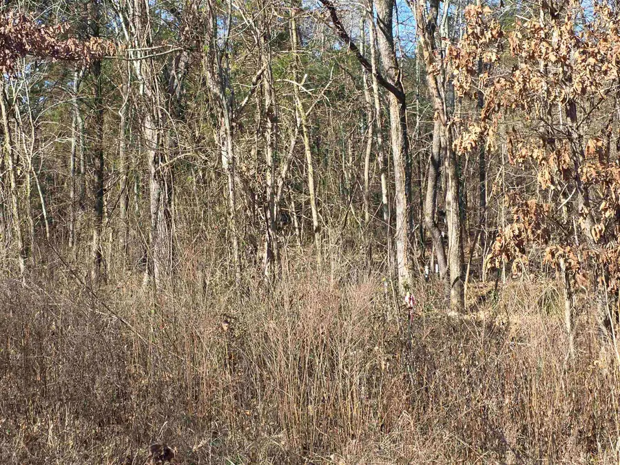 49 Meadow Brook Lane, Pleasant Hill, AR 72556 - Image #3