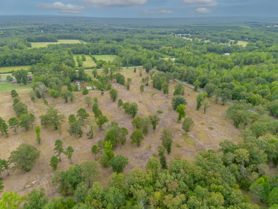 Lot 1 Hwy 287, Greenbrier, AR 72058 - #3