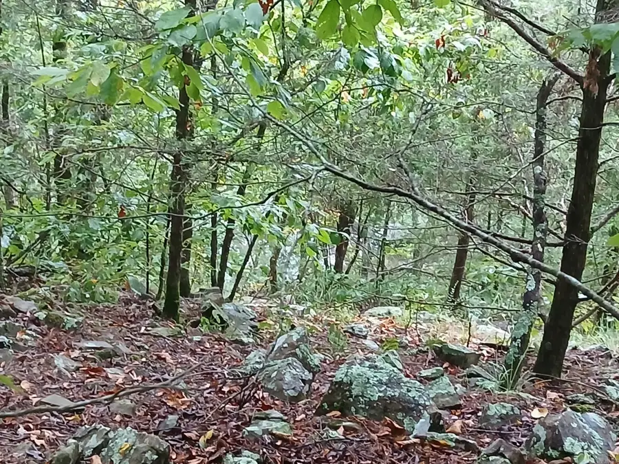 UNK Polk Road 74, Mena, AR 71953 - Image #3