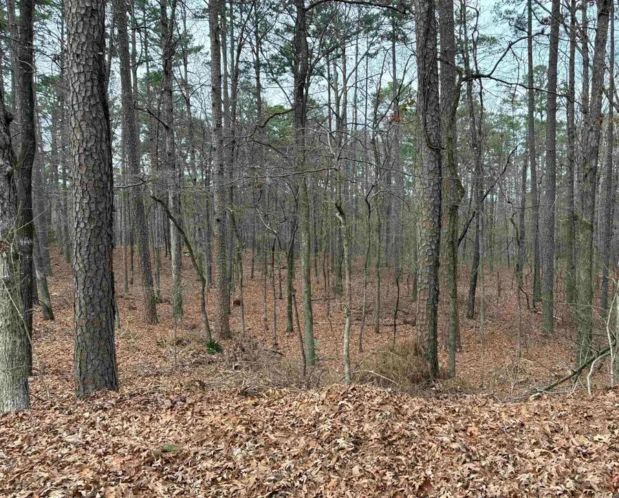 Lot 9 Silleda Ln, Hot Springs Village, AR 71909 - Image #3