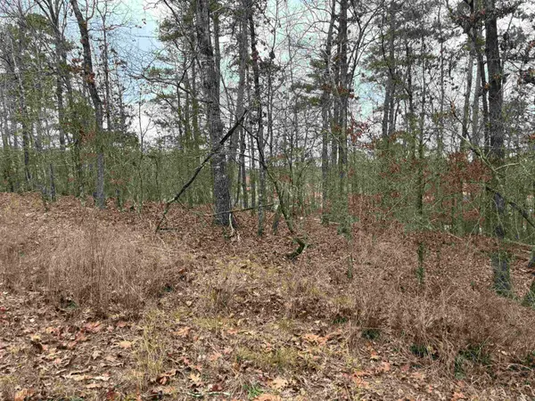 Lot 2 Pinocha Way, Hot Springs Village, AR 71909