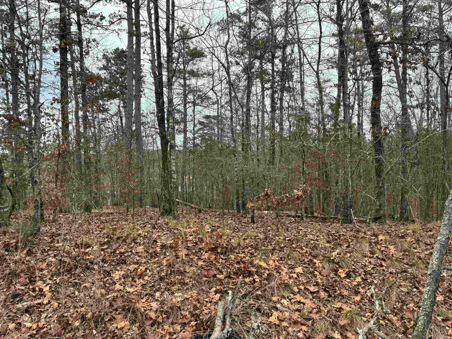 Lot 2 Pinocha Way, Hot Springs Village, AR 71909 - Image #3