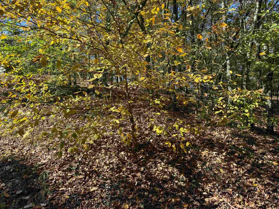 18 Darro Way, Hot Springs Village, AR 71909 - #3